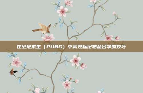 在绝地求生(PUBG)中高效标记物品名字的技巧