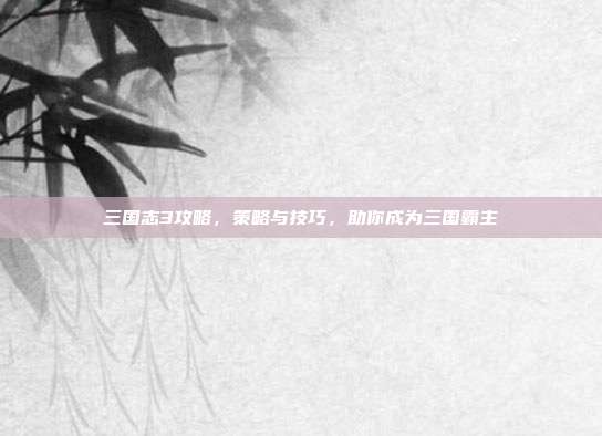 三国志3攻略,策略与技巧,助你成为三国霸主