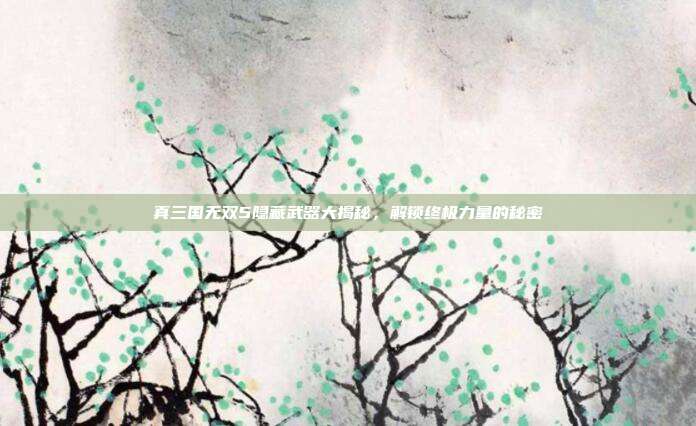 真三国无双5隐藏武器大揭秘,解锁终极力量的秘密