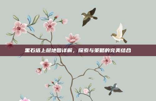 黑石塔上层地图详解，探索与策略的完美结合