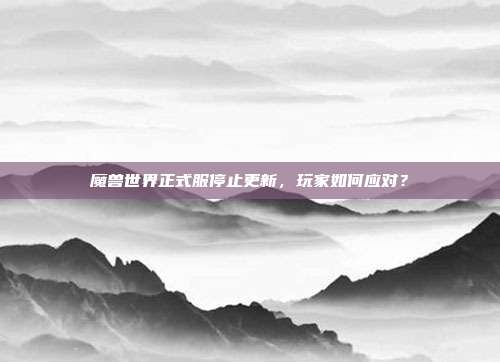 魔兽世界正式服停止更新,玩家如何应对?