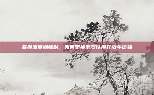 掌握流星蝴蝶剑，如何更换武器以提升战斗体验
