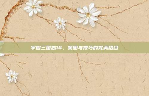 掌握三国志14,策略与技巧的完美结合