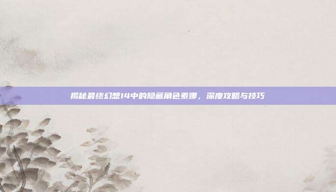 揭秘最终幻想14中的隐藏角色素娜,深度攻略与技巧