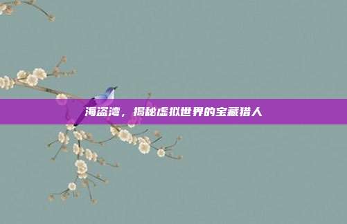海盗湾,揭秘虚拟世界的宝藏猎人