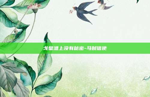 戈壁滩上没有秘密-马贼信使