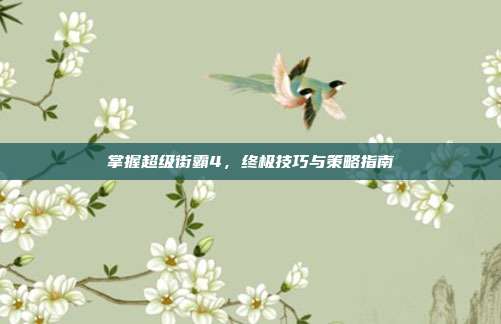 掌握超级街霸4,终极技巧与策略指南