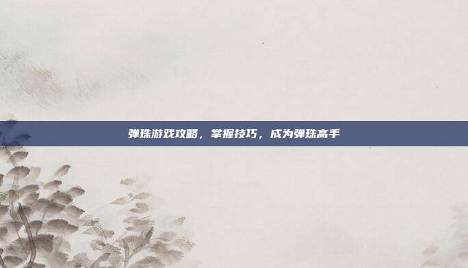 弹珠游戏攻略,掌握技巧,成为弹珠高手