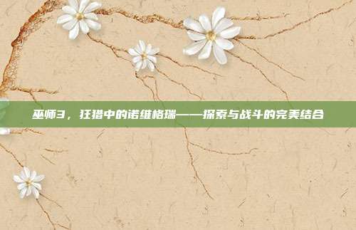 巫师3,狂猎中的诺维格瑞——探索与战斗的完美结合
