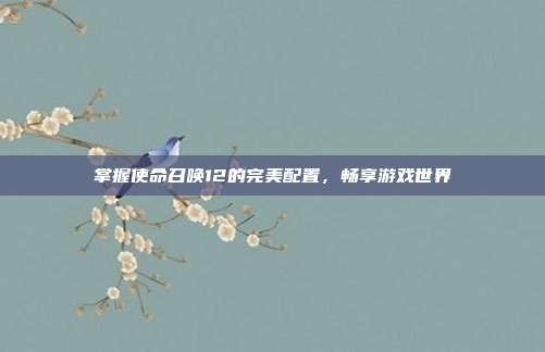 掌握使命召唤12的完美配置,畅享游戏世界