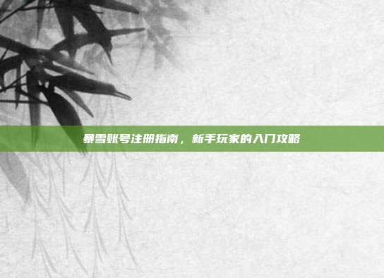 暴雪账号注册指南,新手玩家的入门攻略