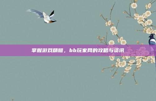 掌握游戏精髓,bb玩家网的攻略与资讯