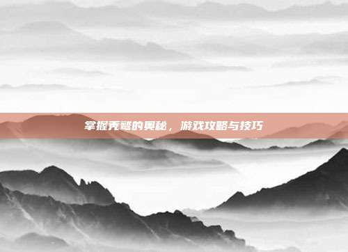 掌握秃鹫的奥秘,游戏攻略与技巧