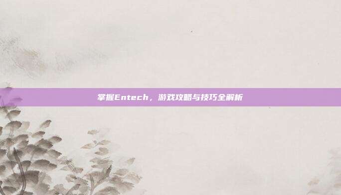 掌握Entech,游戏攻略与技巧全解析