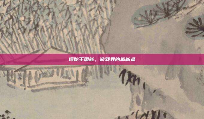 揭秘王国新,游戏界的革新者