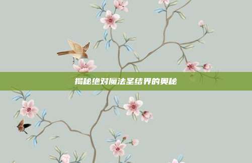 揭秘绝对魔法圣结界的奥秘
