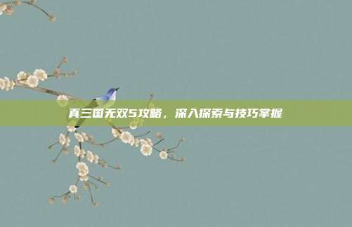 真三国无双5攻略，深入探索与技巧掌握