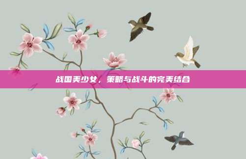 战国美少女,策略与战斗的完美结合