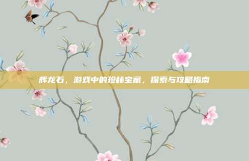 辉龙石,游戏中的珍稀宝藏,探索与攻略指南