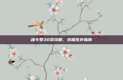 魂斗罗30命攻略，终极生存指南
