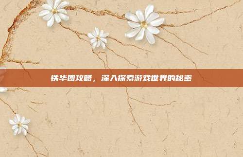 铁华团攻略,深入探索游戏世界的秘密