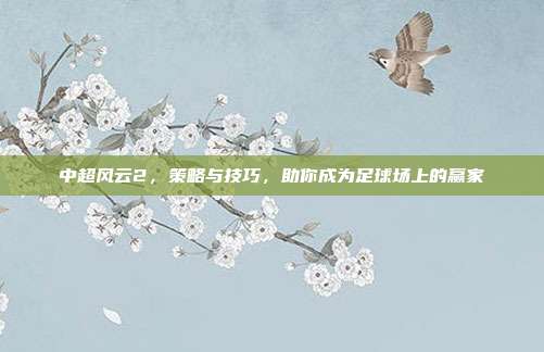 中超风云2,策略与技巧,助你成为足球场上的赢家