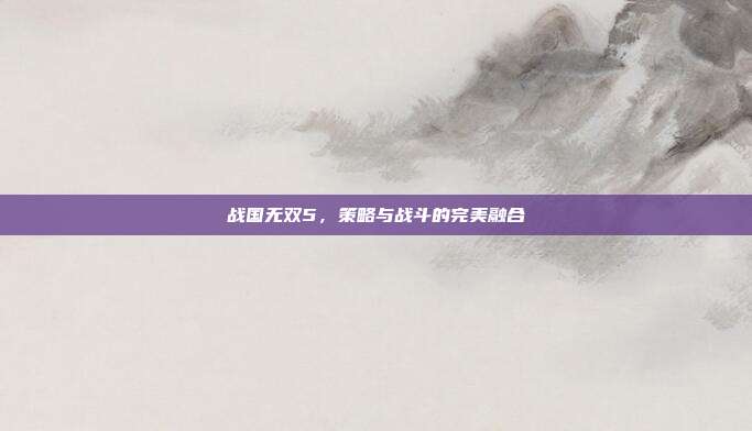 战国无双5,策略与战斗的完美融合