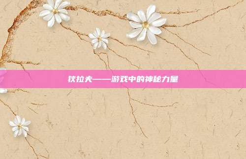 狄拉夫——游戏中的神秘力量