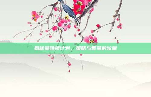 揭秘曼哈顿计划,策略与智慧的较量