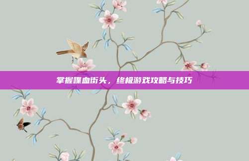 掌握喋血街头,终极游戏攻略与技巧
