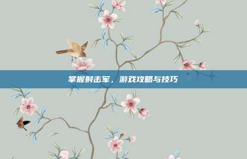 掌握射击军,游戏攻略与技巧