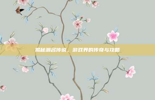 揭秘濑名传说,游戏界的传奇与攻略