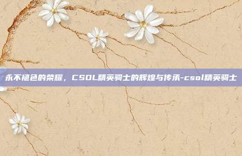 永不褪色的荣耀，CSOL精英骑士的辉煌与传承-csol精英骑士