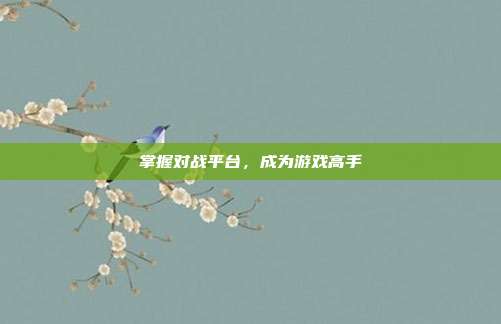 掌握对战平台,成为游戏高手