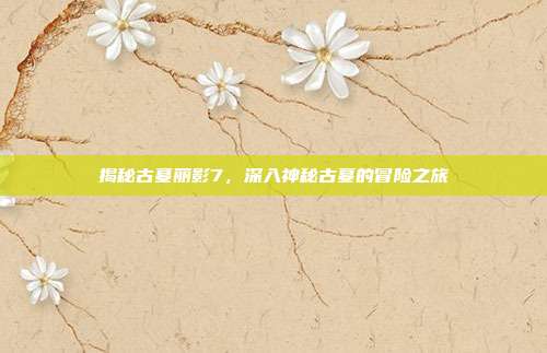 揭秘古墓丽影7，深入神秘古墓的冒险之旅