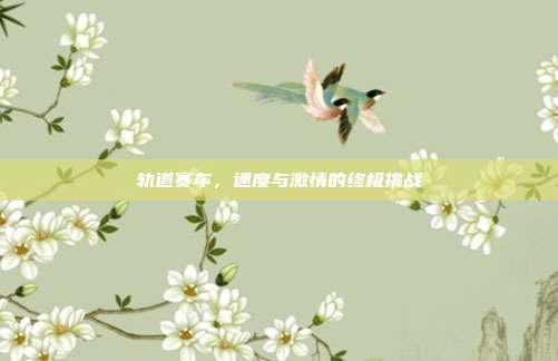轨道赛车,速度与激情的终极挑战