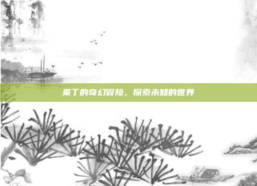 莱丁的奇幻冒险,探索未知的世界