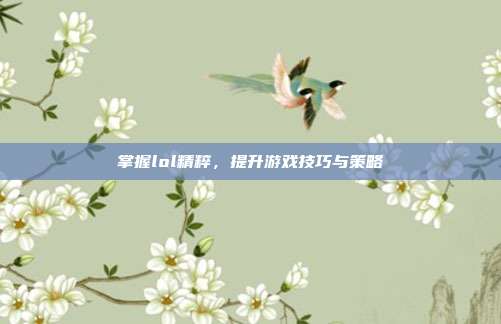 掌握lol精粹,提升游戏技巧与策略