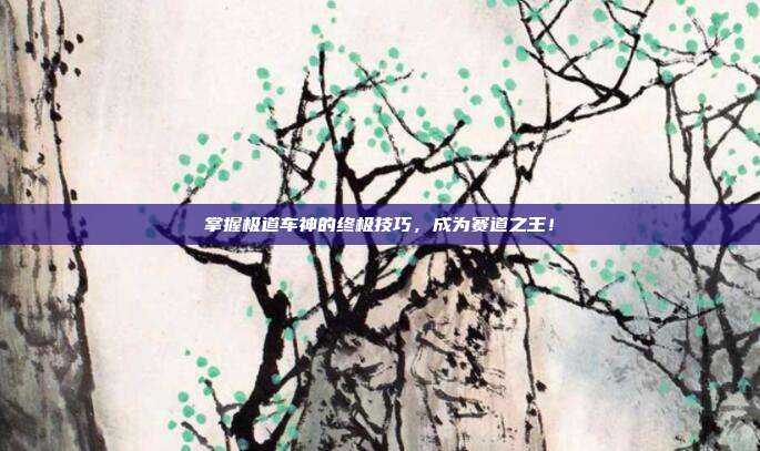 掌握极道车神的终极技巧,成为赛道之王!