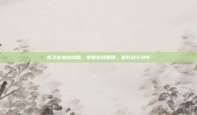 龙之谷加点攻略,掌握游戏精髓,提升战斗效率