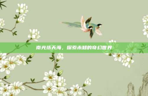南光坊天海,探索未知的奇幻世界