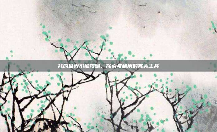 我的世界水桶攻略,探索与利用的完美工具