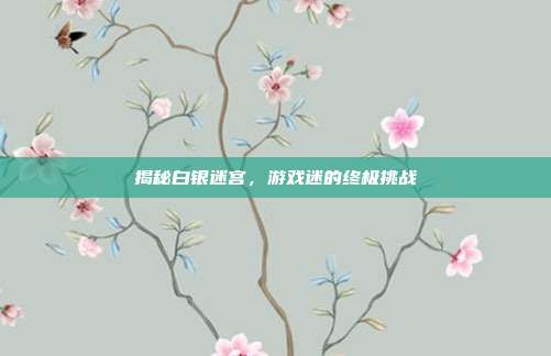 揭秘白银迷宫,游戏迷的终极挑战