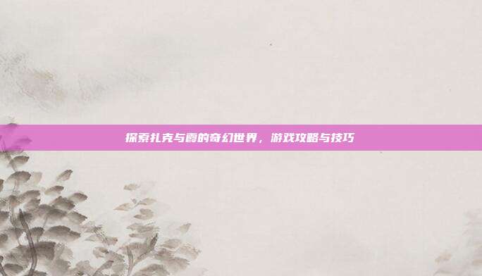 探索扎克与霞的奇幻世界，游戏攻略与技巧