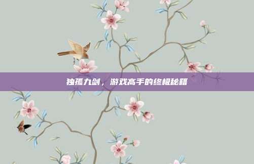 独孤九剑，游戏高手的终极秘籍
