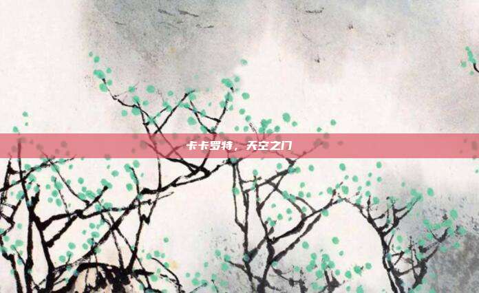 卡卡罗特，天空之门