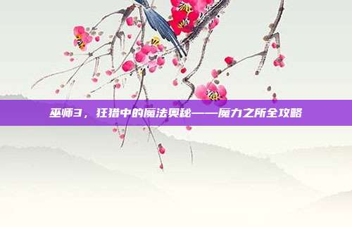 巫师3，狂猎中的魔法奥秘——魔力之所全攻略