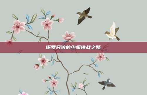 探索只狼的终极挑战之路