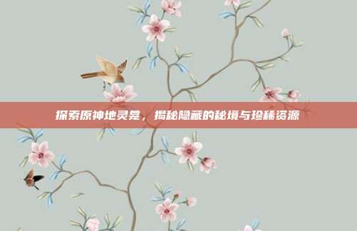探索原神地灵龛,揭秘隐藏的秘境与珍稀资源