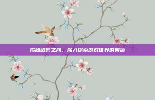 揭秘暗影之网，深入探索游戏世界的奥秘